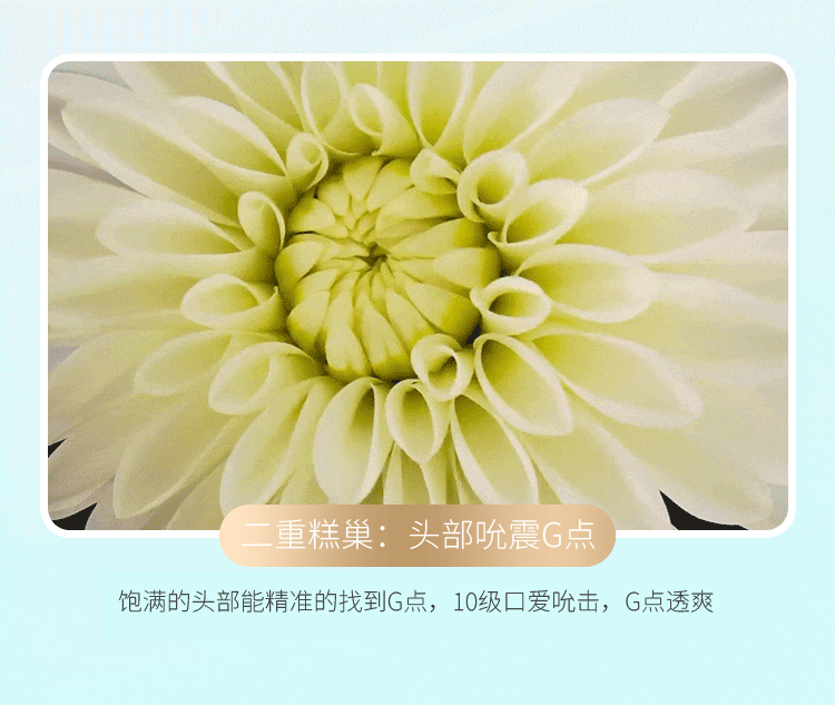 萌怪兽二代小程序(粉色)详情图 19